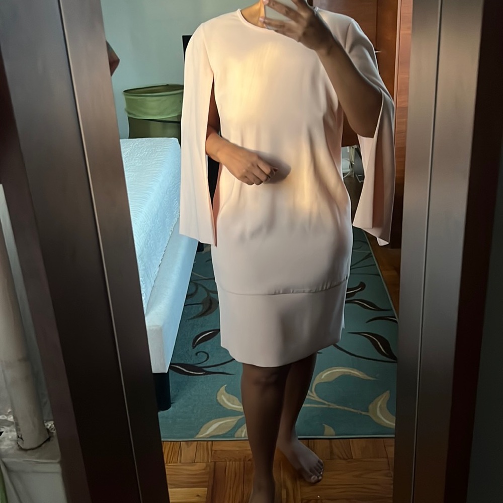 DKNY Brand New Long Open Sleeve Classy Shift Dress